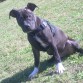 Buba Posando (4 meses)